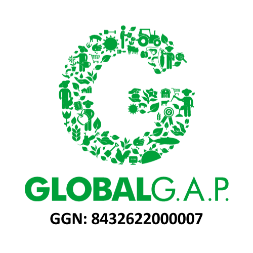 Global GAP